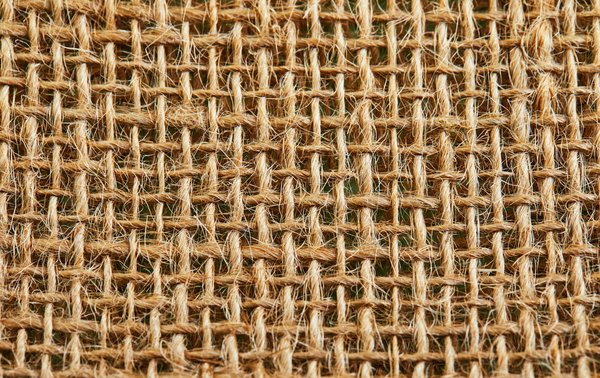 ¿Cuáles son los beneficios de una dieta rica en fibra para la salud intestinal?